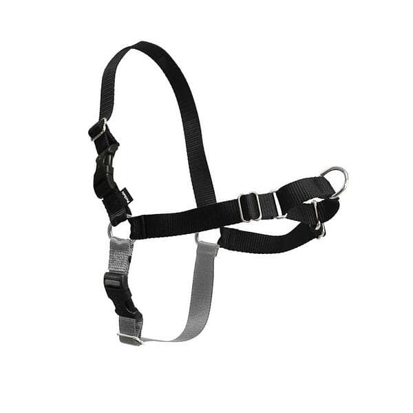 PetSafe Easy Walk Harness L