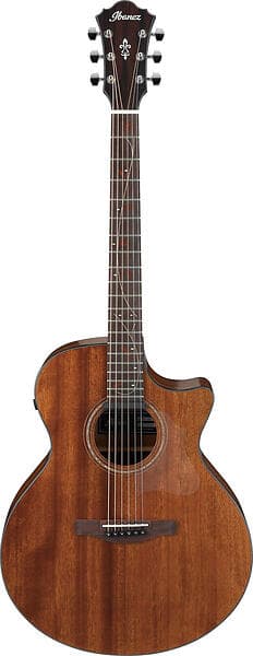 Ibanez AE295-LGS (CE)