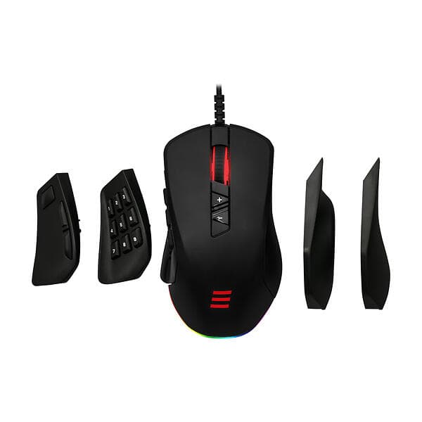 Cepter Gladius MMO