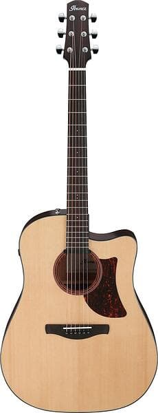 Ibanez AAD170CE (CE)