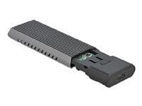 DeLock SSD M.2 to USB Type-C (42638)