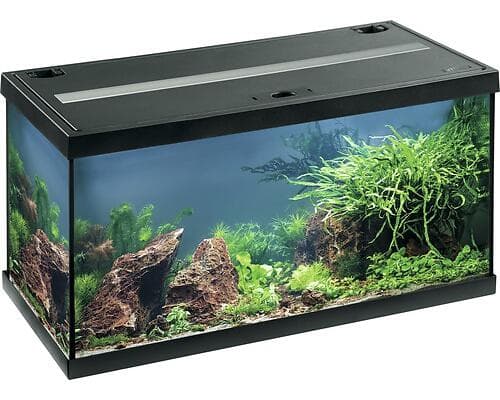 Eheim aquastar 54 LED