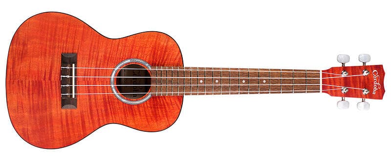 Cordoba 15CFM