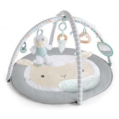 Ingenuity Sheppy’s Spot Babygym