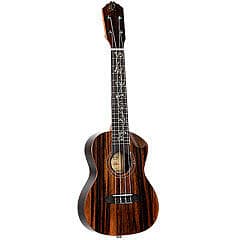 Ortega Concert ukulele RUET-EB