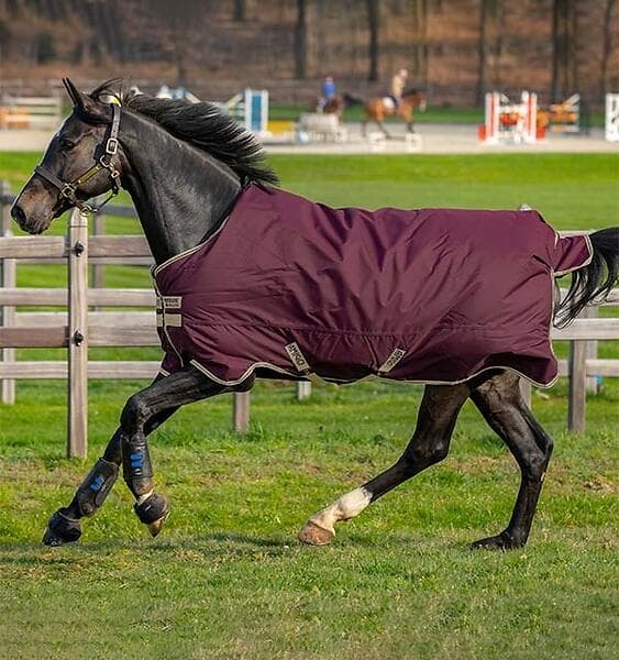 Horseware Amigo Insulator Lite 100g