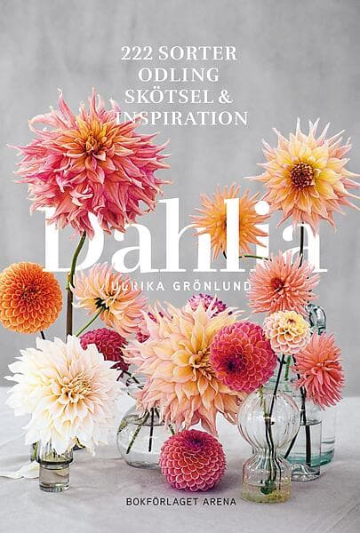 Dahlia: 222 sorter, odling, skötsel och inspiration