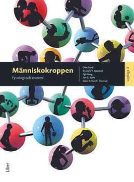 Människokroppen Fysiologi Och Anatomi