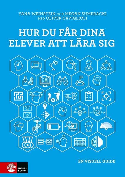 Hur Du Får Dina Elever Att Lära Sig En Visuell Guide