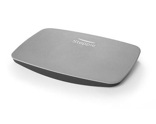 Steppie Balance Board