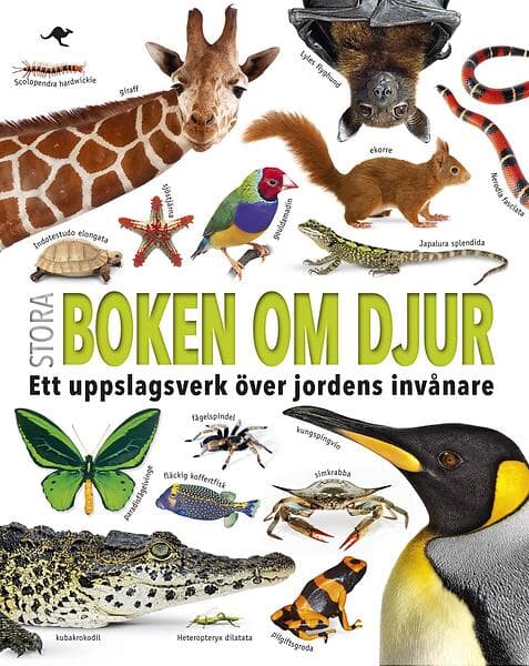 Stora Boken Om Djur Ett Uppslagsverk Över Jordens Invånare