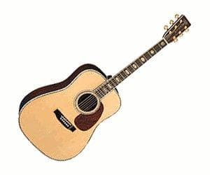 Martin Standard D-45