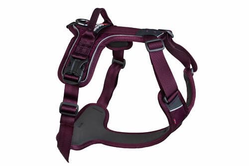 Non-Stop Dogwear Ramble Harness M