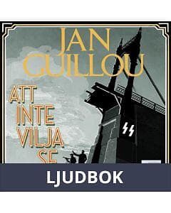 Att inte vilja se, Ljudbok