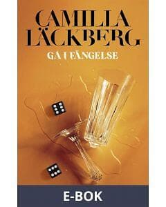 Gå i fängelse (E-bok)