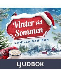 Vinter vid Sommen, Ljudbok