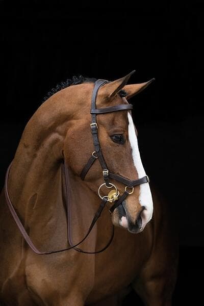 Horseware Rambo Micklem Multi Bridle