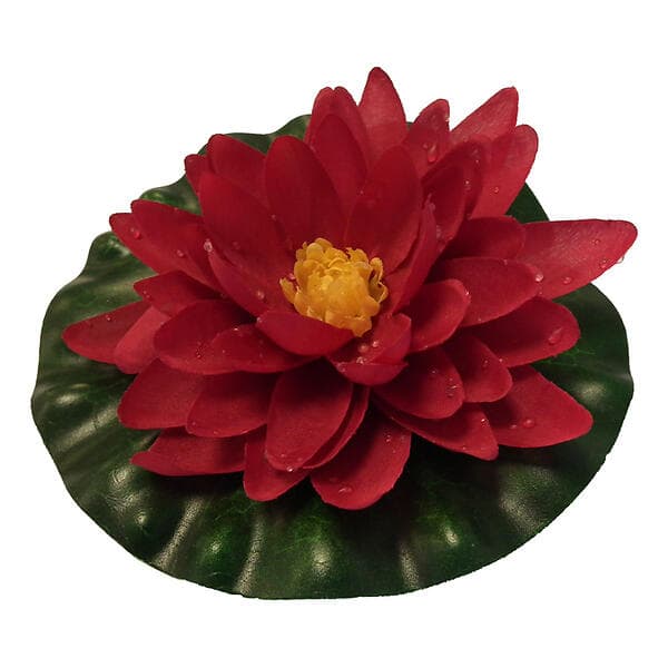 Pondteam Floating Water Lily 20cm