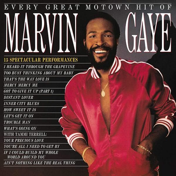 Gaye Marvin: Every great Motown hit (Vinyl)