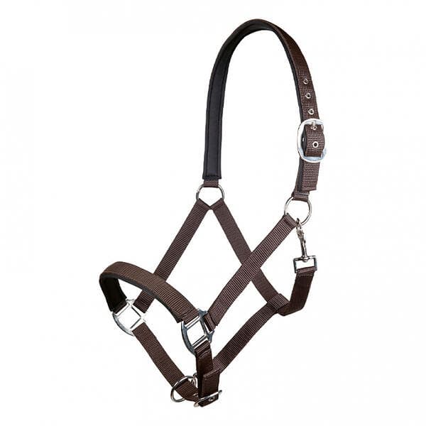 HKM Grimma Charming Cob