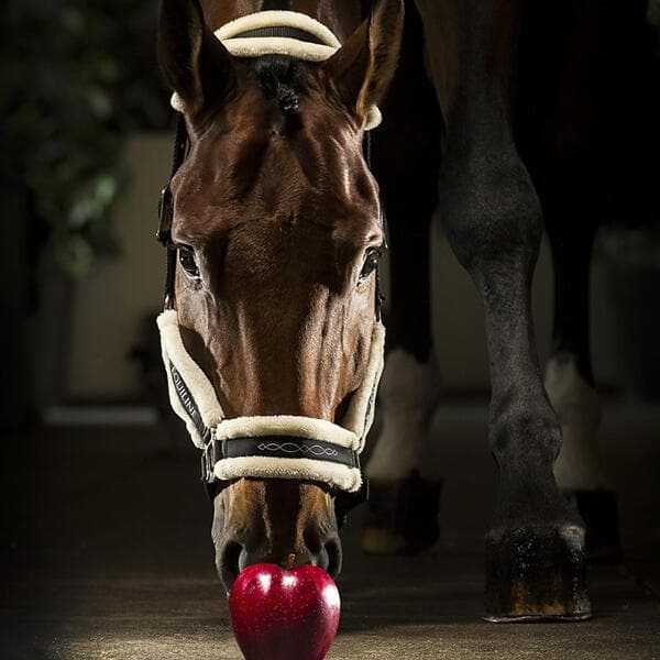Equiline Grimma Med Fårskinn Tom Full