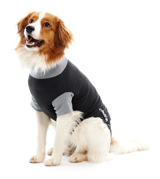 Buster Body Suit Classic till Hund XXS