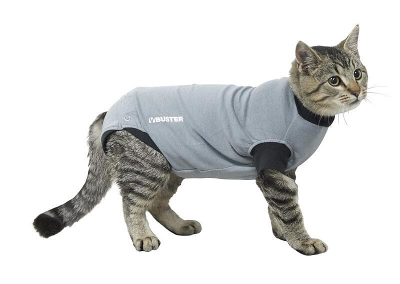 Buster Body Suit EasyGo till Katt S