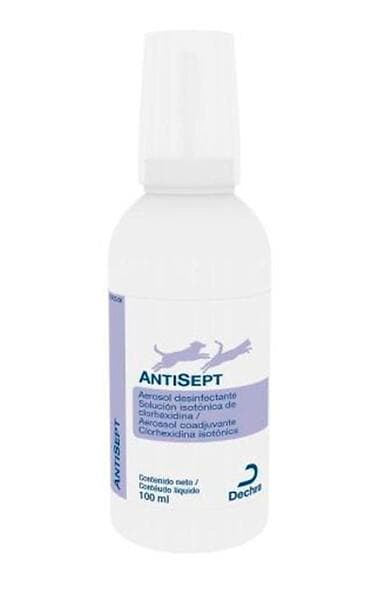 Dechra AntiSept 100ml