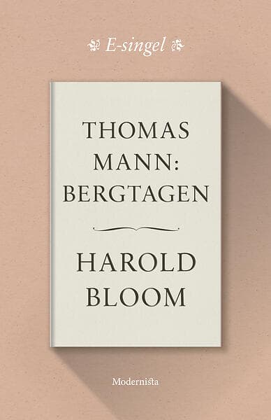 Modernista Thomas Mann: Bergtagen E-bok