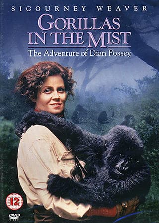 De Dimhöljda Bergens Gorillor (DVD)