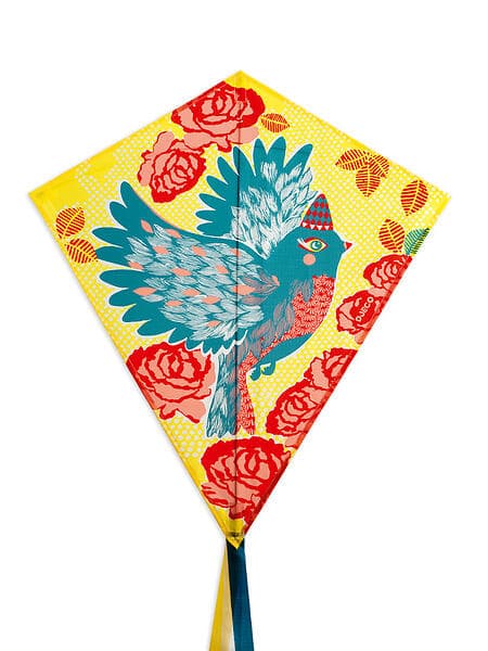 Djeco Drake Bird Kite