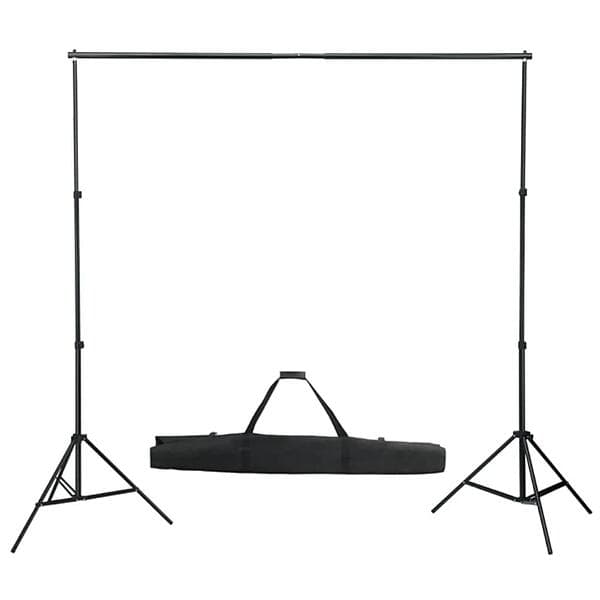 vidaXL Teleskopiskt Bakgrundssystem 155-300cm