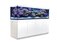 Red Sea Reefer 3XL 900