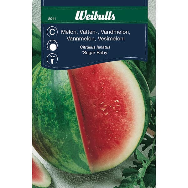 Weibulls Vattenmelon 'Sugar Baby'