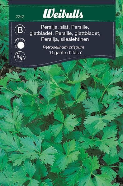 Weibulls Persilja 'Gigante d'Italia'