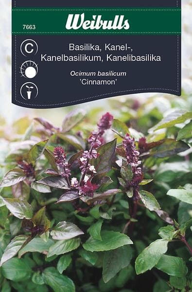 Weibulls Basilika 'Cinnamon'