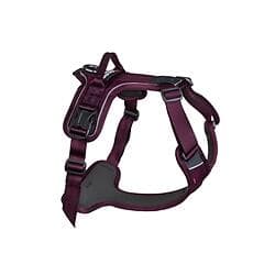 Non-Stop Dogwear Ramble Harness S