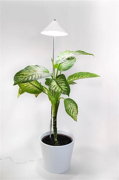 Venso EcoSolutions Sunlite XL Växtlampa