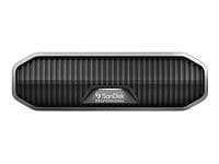 SanDisk Professional G-DRIVE Enterprise Class 4TB