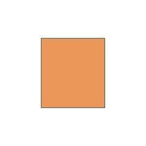 Derwent DW Akv.penna B.Yellow Ochre 60 Gul