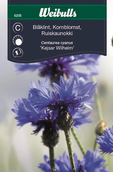 Weibulls Frö Blåklint Blå