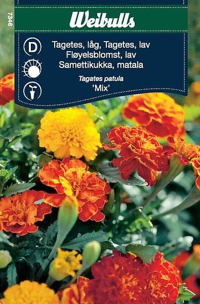 Weibulls Blomfrö Frö Tagetes låg Mix Blandning