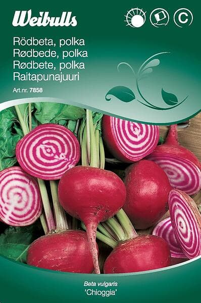 Weibulls Frö Rödbeta Chioggia Polkabet Röd / Vit