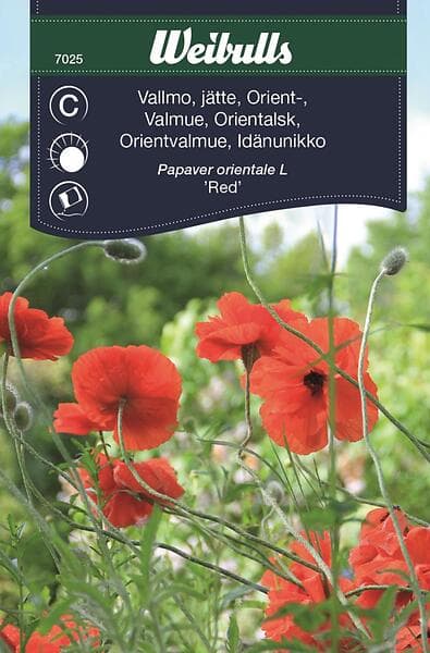 Weibulls Blomfrö Frö Vallmo,jätte Vallmo Orient Röd Orangeröd