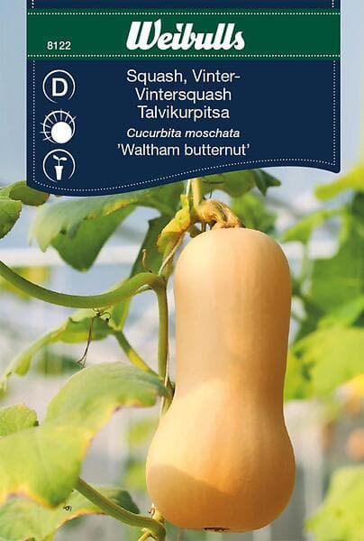 Weibulls Frö Squash, vinter