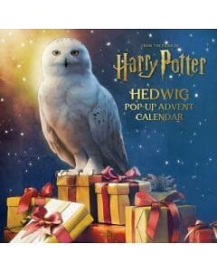 Harry Potter Hedwig Pop-up Advent Calendar