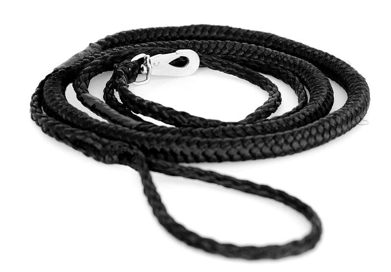 Kennel Elastic Pull Leash 250cm 25mm