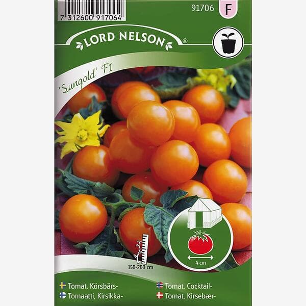 Nelson Garden Tomat, Hög, Sungold F1