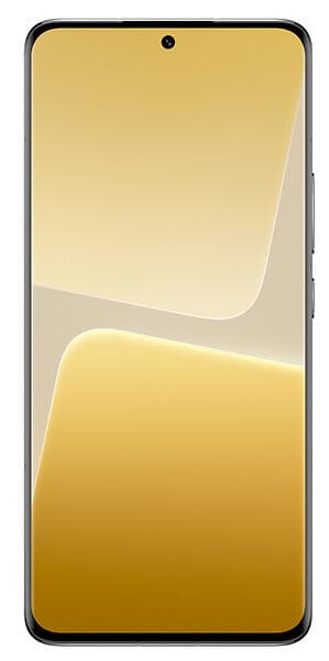 Xiaomi 13 Pro 5G Dual SIM 12GB RAM 256GB