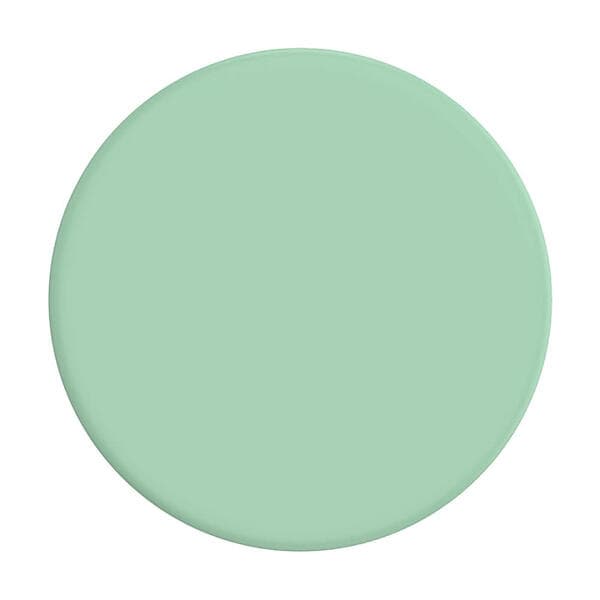 PopSockets Basic Grip Pastell Mint